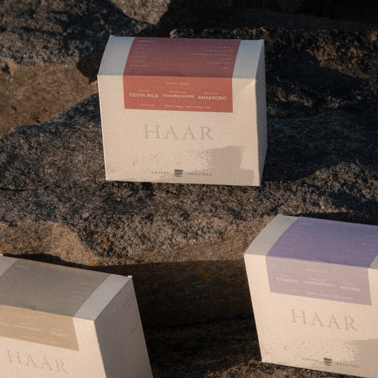 Single Origin Subscription